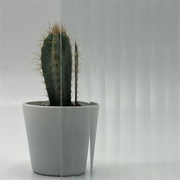 Reeded Glass