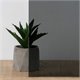 Planibel Darkgrey
